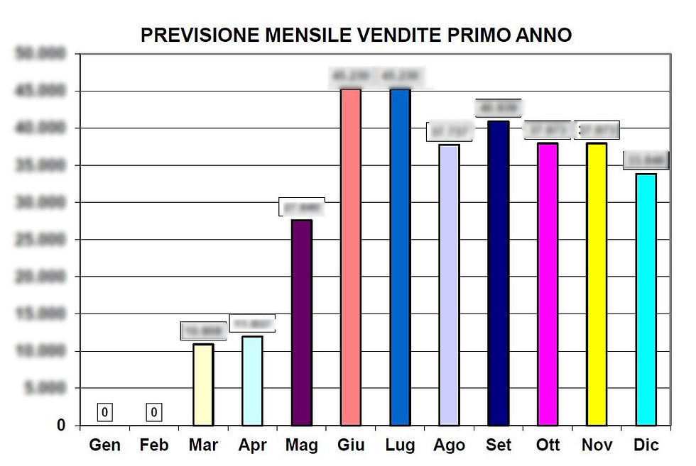 conto economico di marketing e previsione vendite