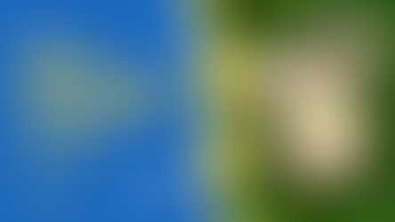 Green packaging: i trend per il 2022