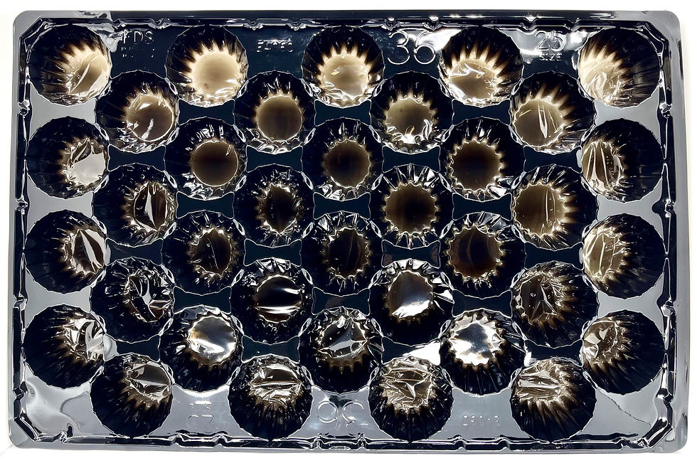 Thumbnail: 61E36/25B - Euro "4060" Fruit Tray
