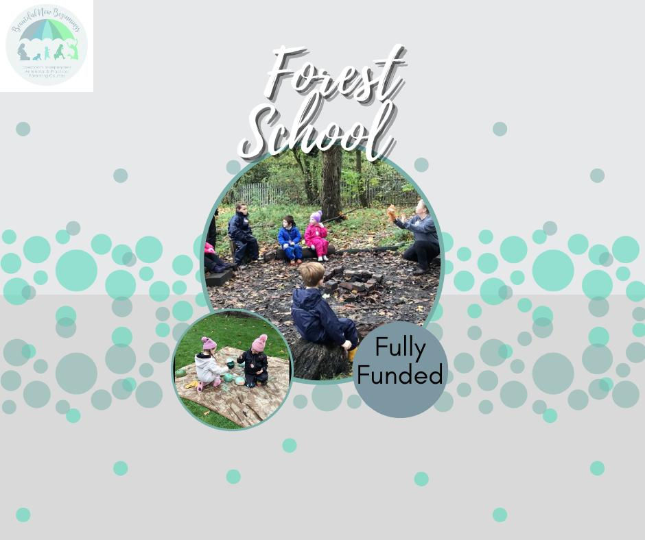 Forest School Court Farm Woods