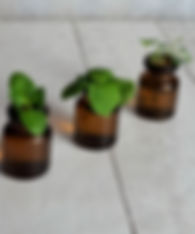 20230316_124026_edited.jpg