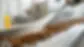 close-up-dog-kibble-conveyor-belt.webp