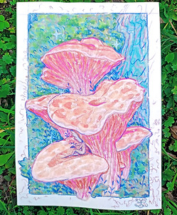 IMG_20250504_181818855_AE_edited_edited_