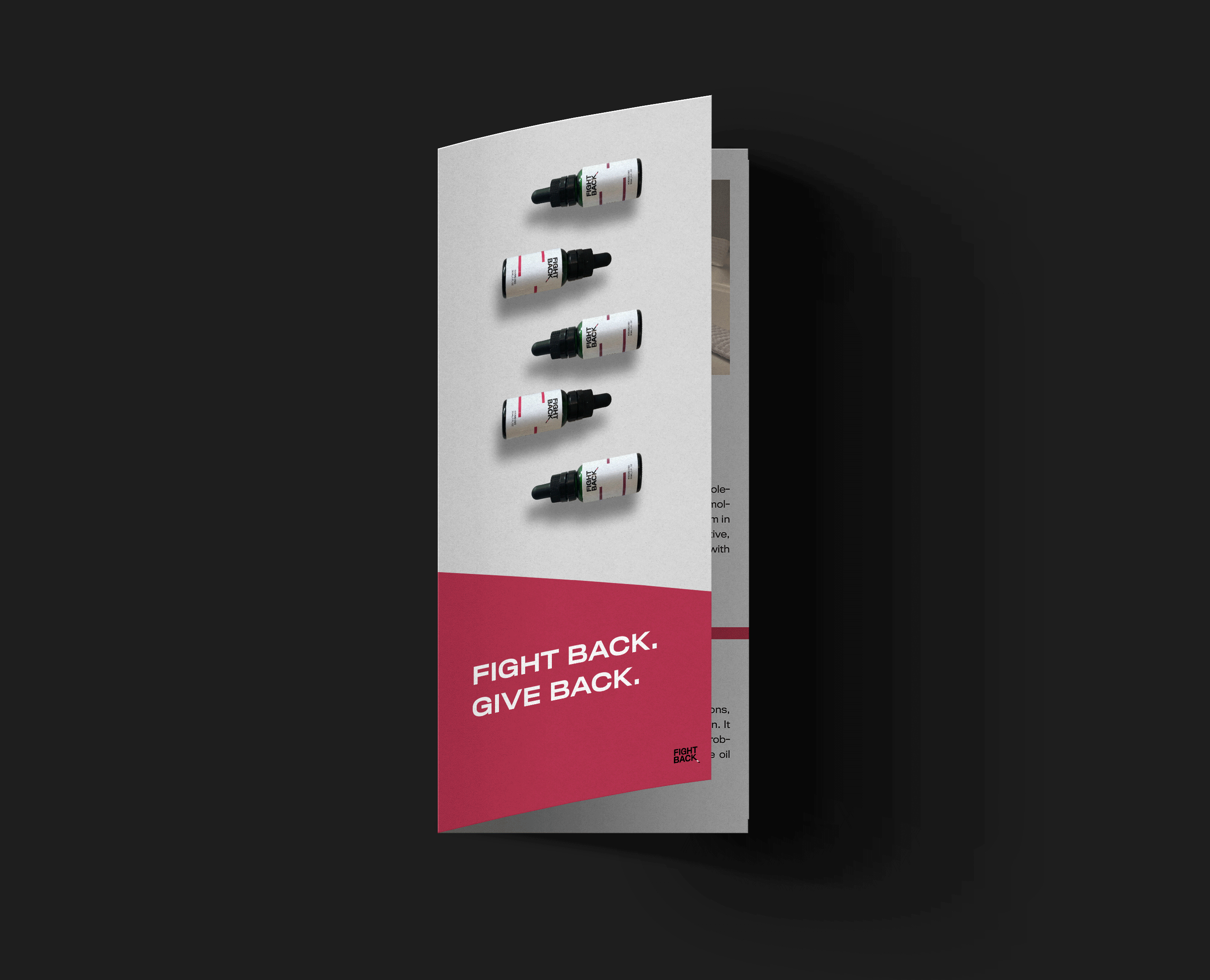 brochure1.gif