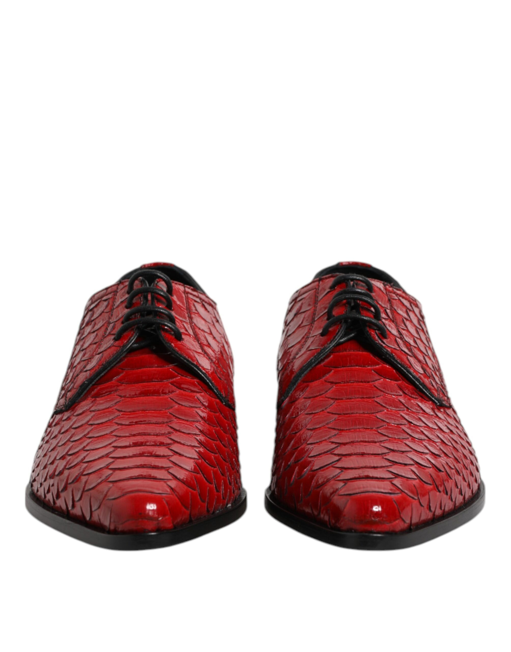 Dolce & Gabbana Red Exotic Leather Lace Up Dress Derby Shoes