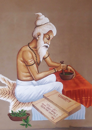 image rishi yurveda_edited.png