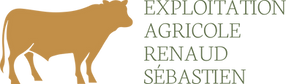 Original on Transparent.png