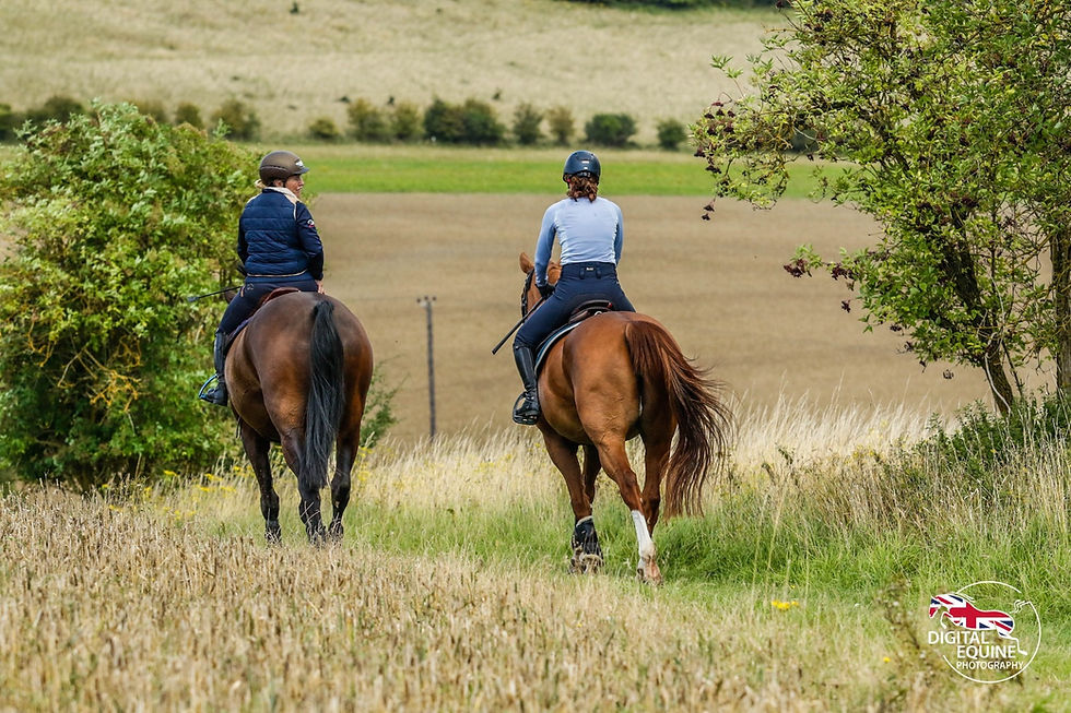 Cholsey Farm Riding