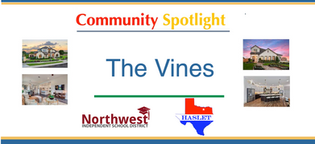 Homes For Sale in The Vines in Haslet Texas