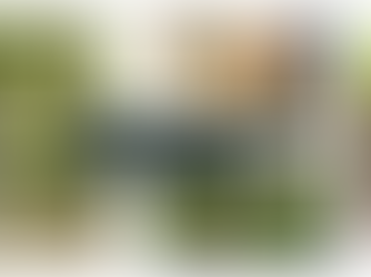 The Top Reasons Executives Relocating to DFW Choose Painted Tree in McKinney - McKinney New Construction Realtor