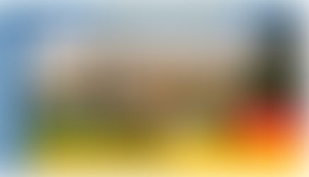 McKinney New Construction Homes For Sale: The Brentwood Plan By First Texas Homes in Willow Wood