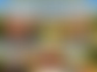 Everyday Life in Dallas–Fort Worth - What Relocating Families Notice After the Move — Flower Mound Buyers Agent