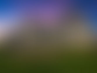 Discover Chesmar Homes at The Grove Frisco with Nitin Gupta, CRS, GRI: Premium Home Designs + Expert Representation for Buyers in 2025