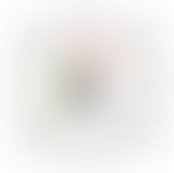 How Vastu Compliance Increases Your Home’s Marketability in Frisco & North Dallas - Frisco Listing Agent