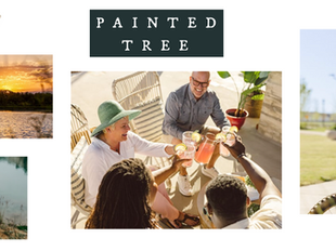 How to Maximize Buyer Incentives When Buying a New Construction Home with Coventry Homes in Painted Tree (With Help from New Construction Expert Nitin Gupta) | McKinney Relocation Realtor