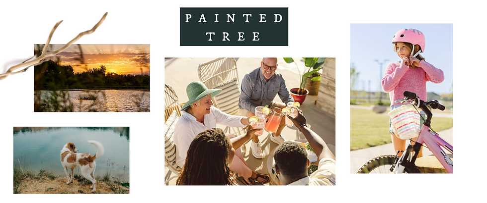 Luxury New Construction Buyer Playbook for Painted Tree, McKinney - McKinney New Construction Realtor