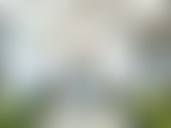 Everything You Need to Know About Luxury Real Estate in Celina