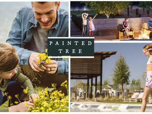 How to Maximize Buyer Incentives When Buying a New Construction Home with David Weekley Homes in Painted Tree (With Help from New Construction Expert Nitin Gupta) - McKinney New Construction Realtor