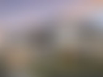 Luxury New Construction vs. Custom Builds in DFW— Southlake Luxury REALTOR®