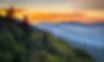 iStock-163642367.jpg