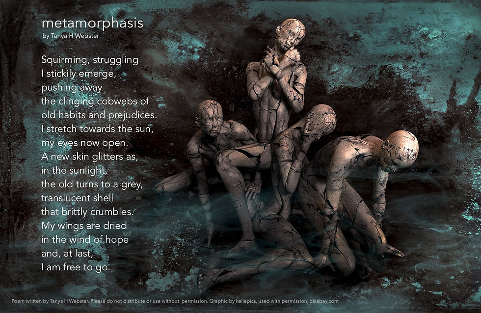 metamorphasis