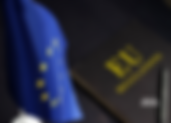 The European Commission announces the first revision of Regulation 1223/2009