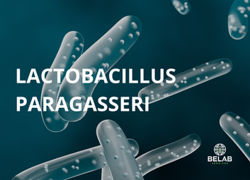 Lactobacillus paragasseri se incorpora al Catálogo de Novel Food de la Unión Europea