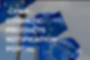 CPNP: COSMETIC PRODUCTS NOTIFICATION PORTAL