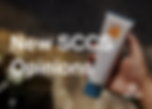 Scientific Update on 4-MBC, Formaldehyde-Releasing Preservatives and Homosalate in Cosmetics: New Opinions from the UK SAG-CS