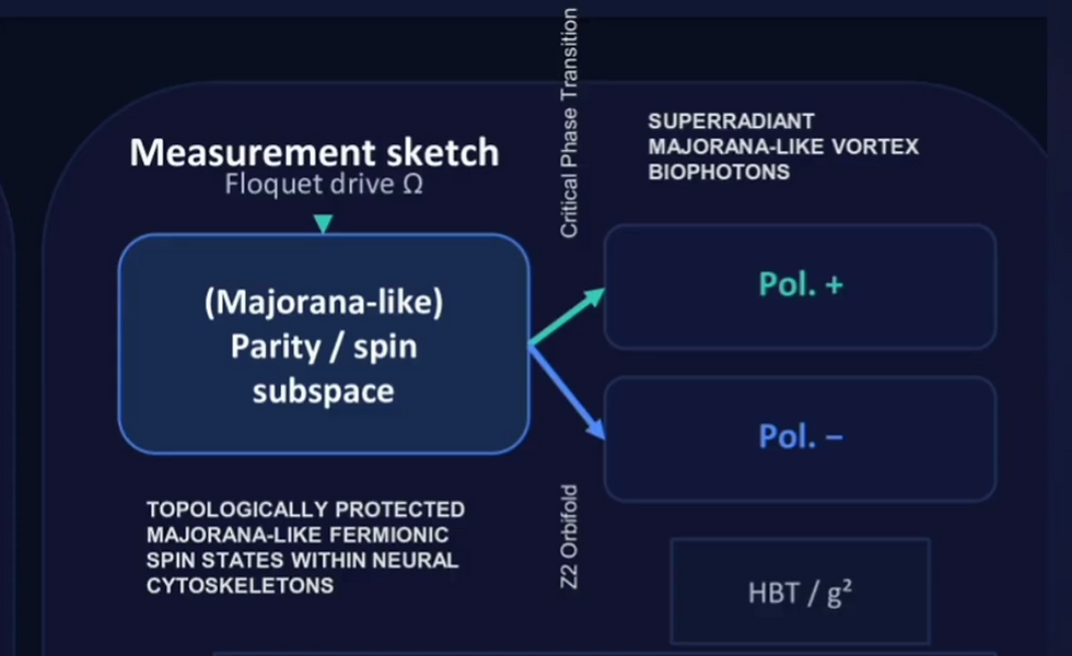 Backpropagation in the Brain Does Not Work Like AI Architectures