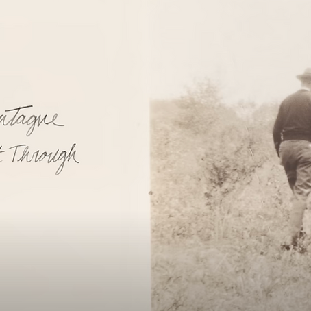 Musings... on a Still Uncertain Future...