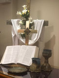 IMG_7167.jpeg