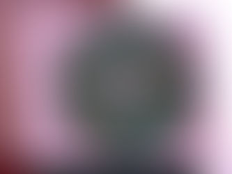 About the New Governance Model