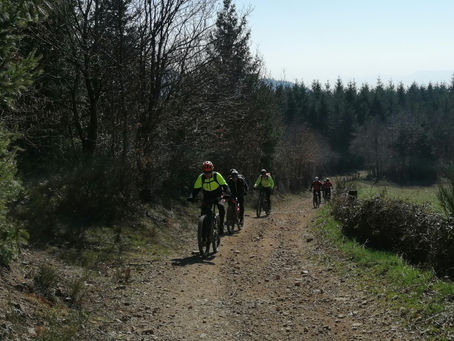 Sortie déplacée: Jacko