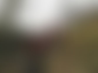 Sortie "délocalisée"