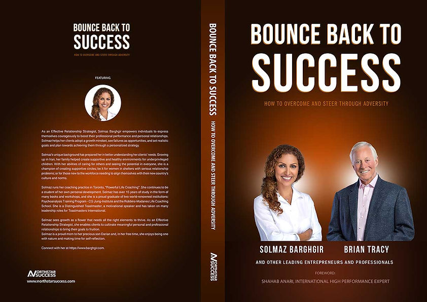 Solmaz Barghgir - Book Cover1.jpg