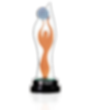 BIZZ Award.png