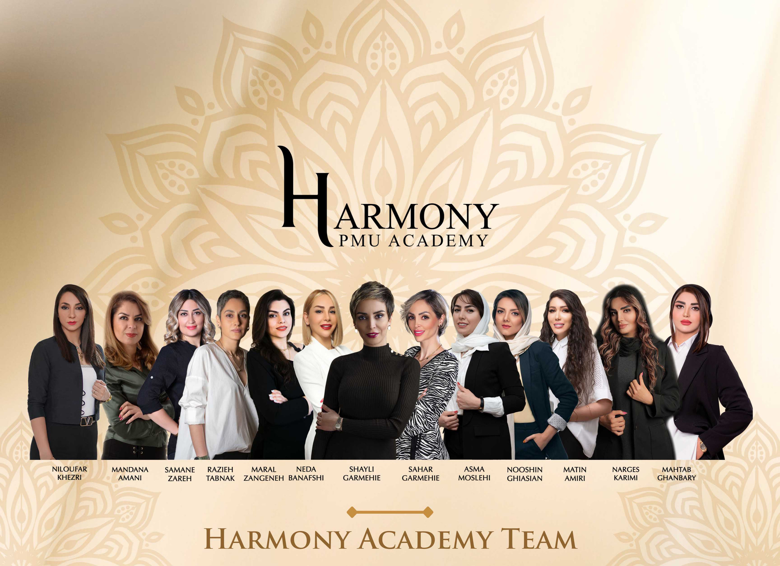 Harmony Academy Team Harmony PMU Academy Your Path to Success