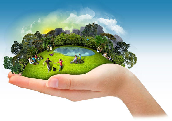 O QUE VOCÊ ENTENDE POR SUSTENTABILIDADE ?