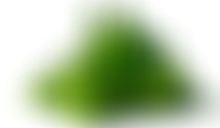 Gestão ambiental nas empresas.