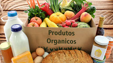 ALIMENTOS ORGÂNICOS.