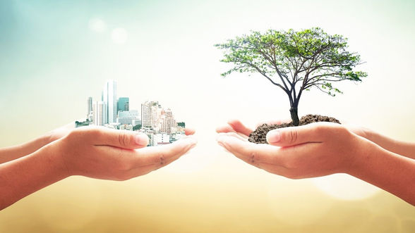 VAMOS ENTENDER UM POUCO MAIS SOBRE EDUCAÇÃO AMBIENTAL ???