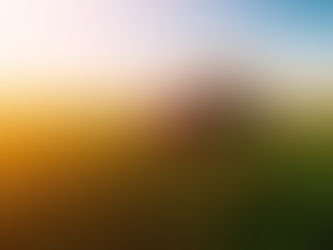 Atividade rural anterior a registro serve para pleitear recuperação judicial