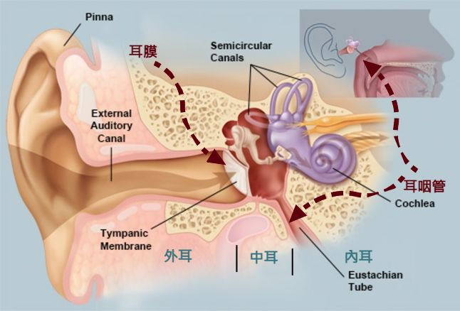 感染率、復發率高！寶寶中耳炎，常見原因與預防守則
