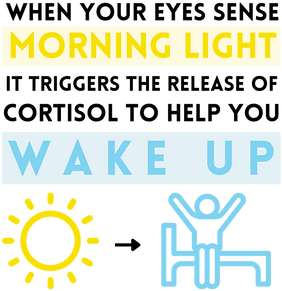 LightSleeperPresentation (59).png