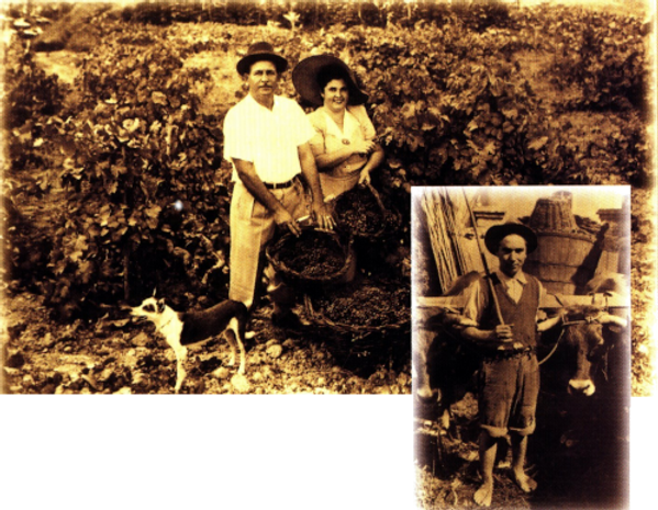 antiga600pix.png
