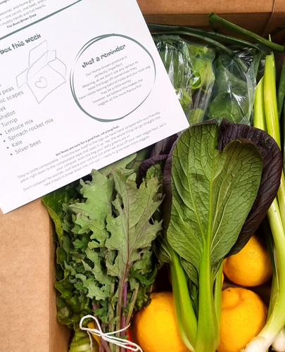 Veggie Sampler Box Seasonal Veggie Box - Small | Home Grown Harvesting