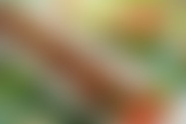 Homemade Longanisa Recipe