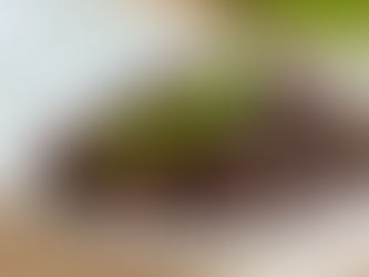 Easy Crispy Dinuguan Recipe