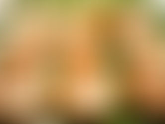 Kutsinta (Brown Rice Cake)